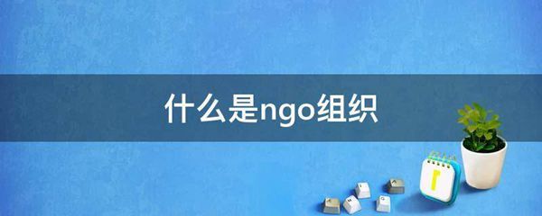 什么是ngo组织