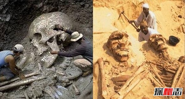 中国发现65米巨人骸骨巨人真的存在吗真相揭秘