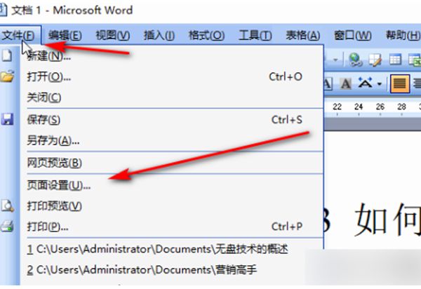 word2003页面布局在什么地方