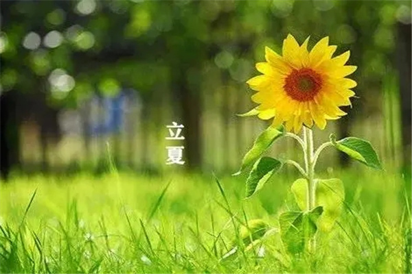 立夏是几月几日：5月5日-5月7日之间(雨季来临)