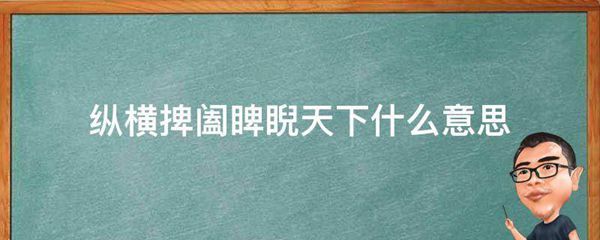 纵横捭阖睥睨天下什么意思