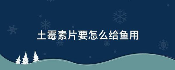 土霉素片要怎么给鱼用