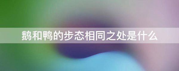 "鹅行鸭步"是形容行走时摇摆迟缓,象鹅和鸭走路一样.